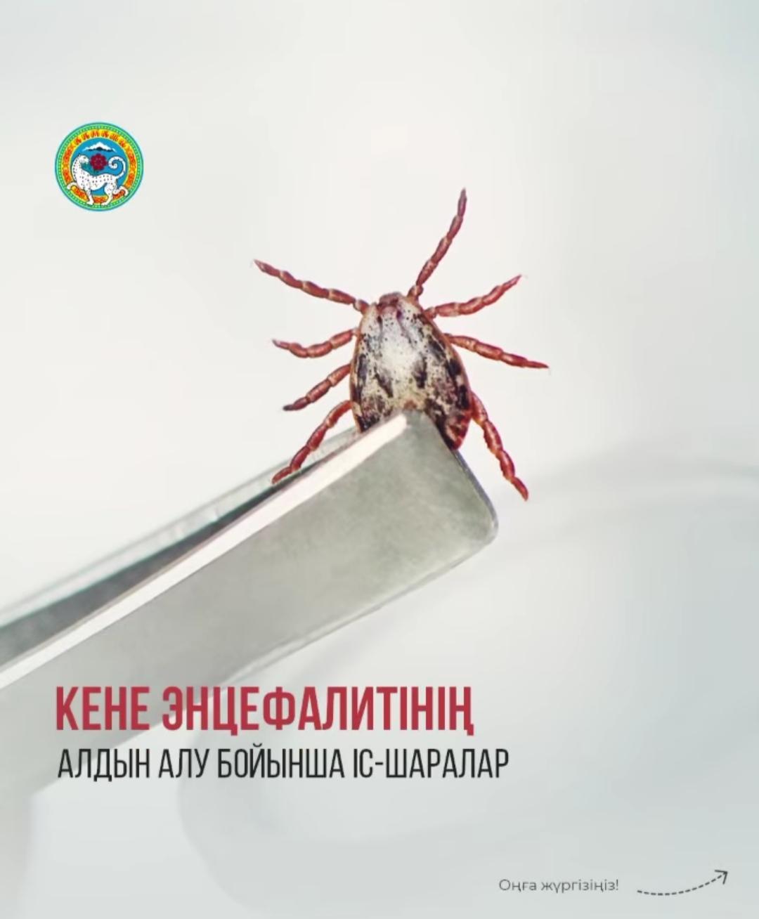 Ата-аналарға арналған ақпарат