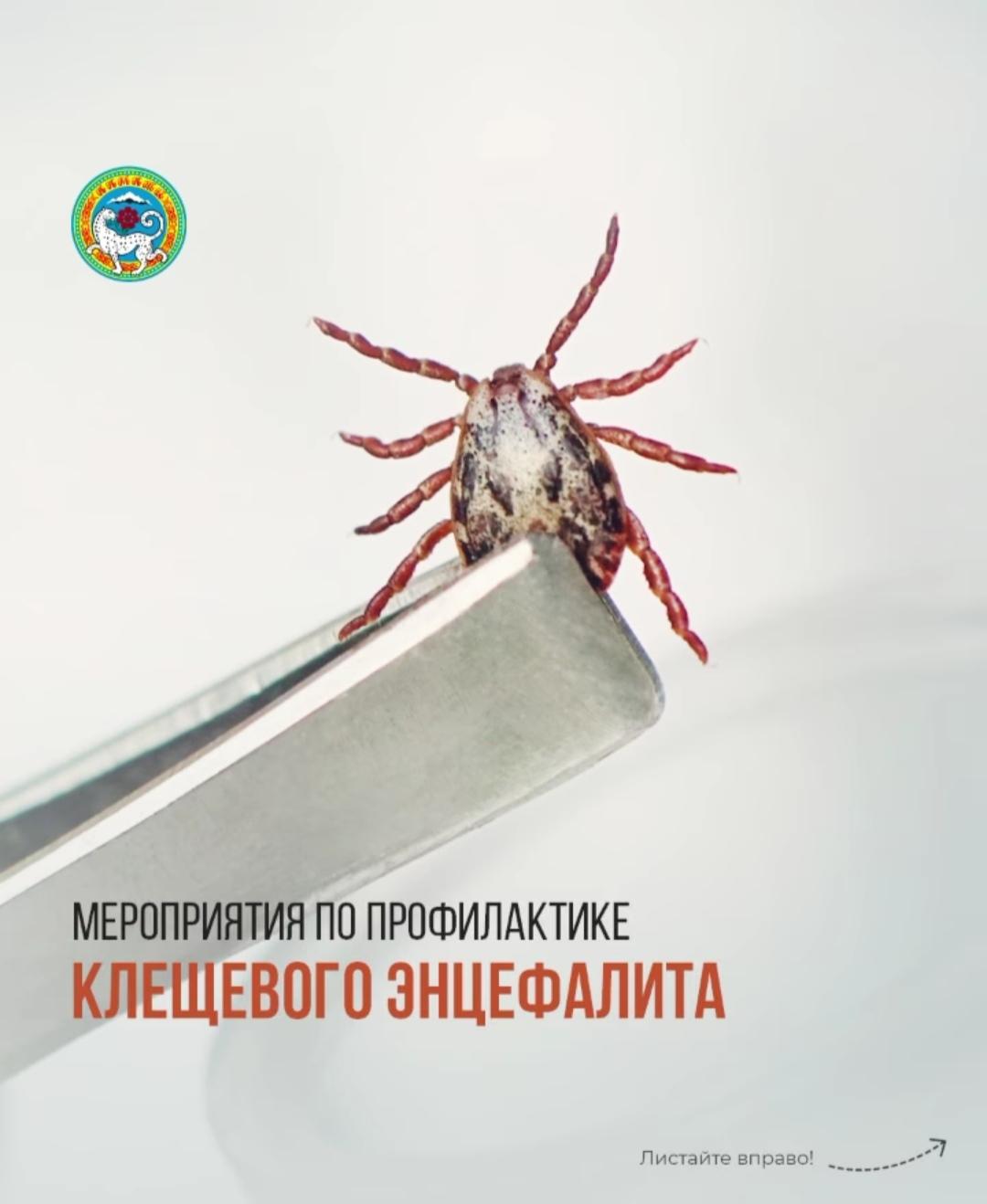 Информация для родителей